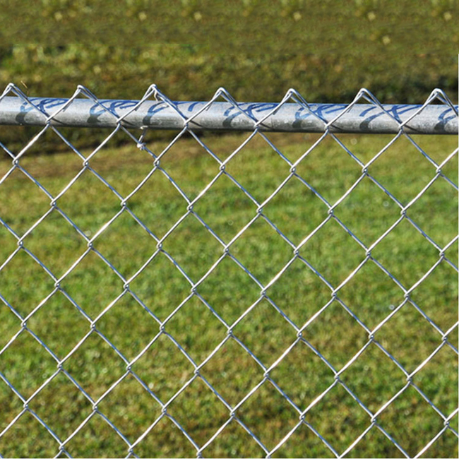 5 wire fence